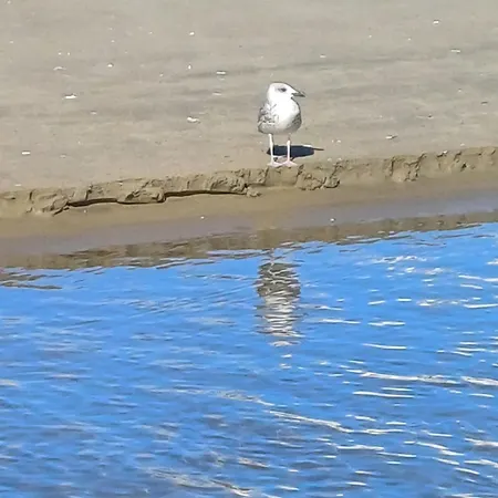 Il Mare A Due Passi *